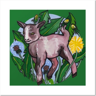 Little pet goat Posters and Art